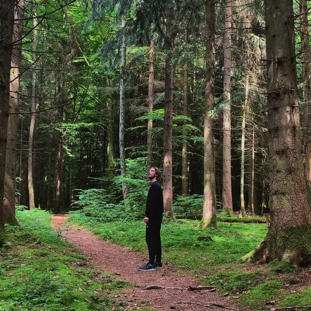 Lebensberatung in Kallnach - Klarheit durch Tee, Gespräch und Klang