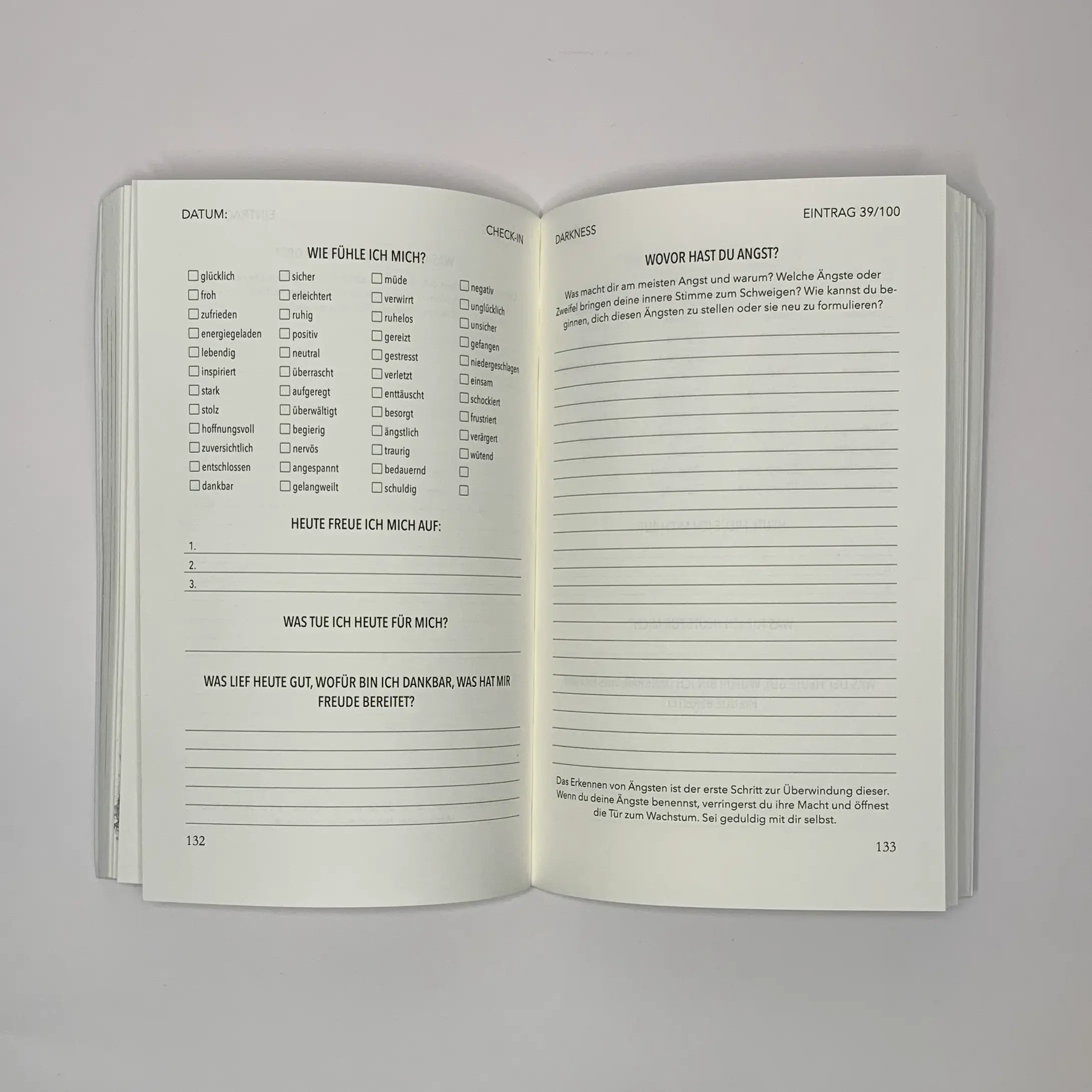 Zen Mode Journal Checkin und Reflexionsfragen